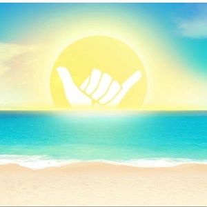 Meet your Posher, Jo